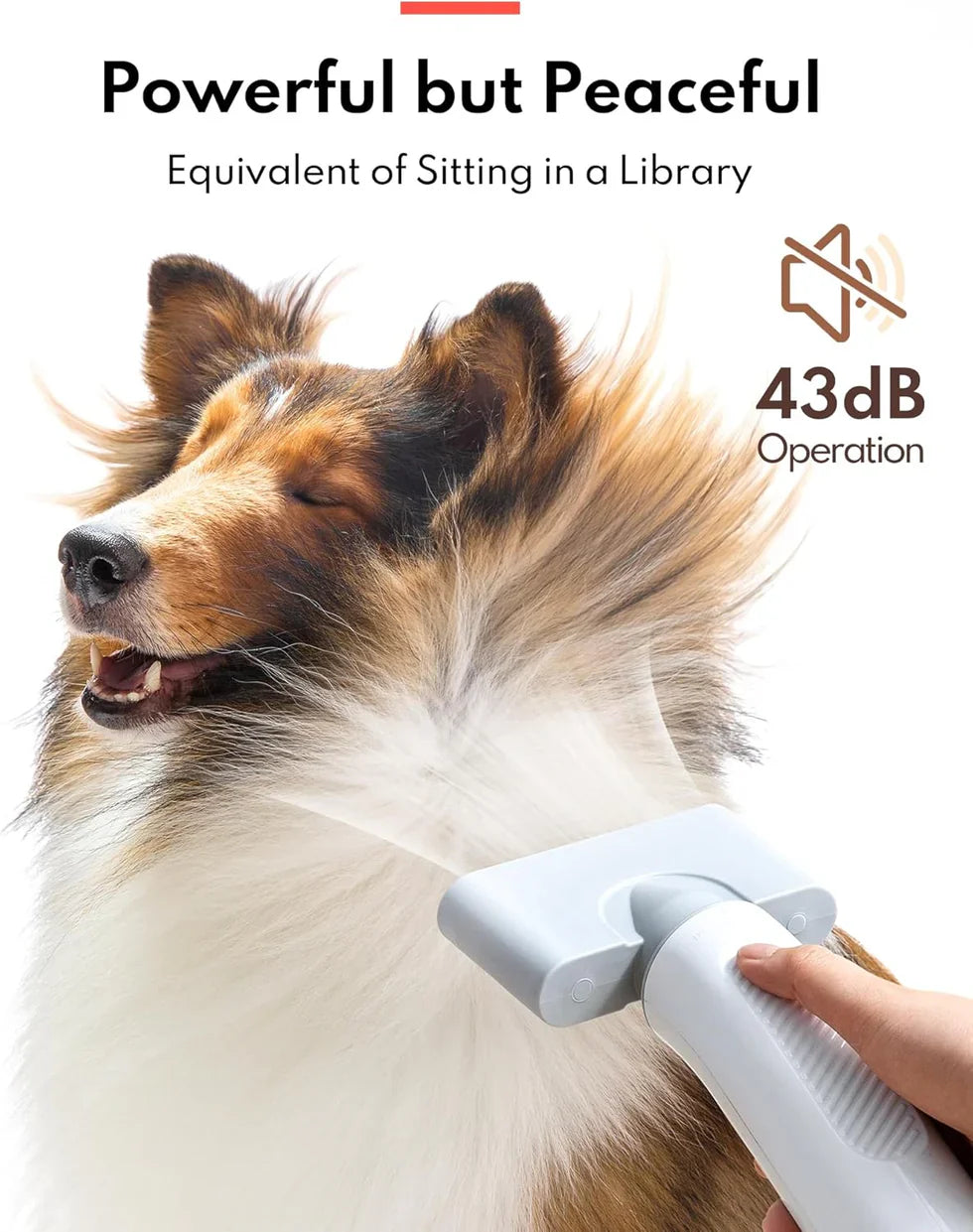 Livara Quiet Negative-Ion Pet Dryer - Pet Comfort, 43dB Operation, Flexible Hose