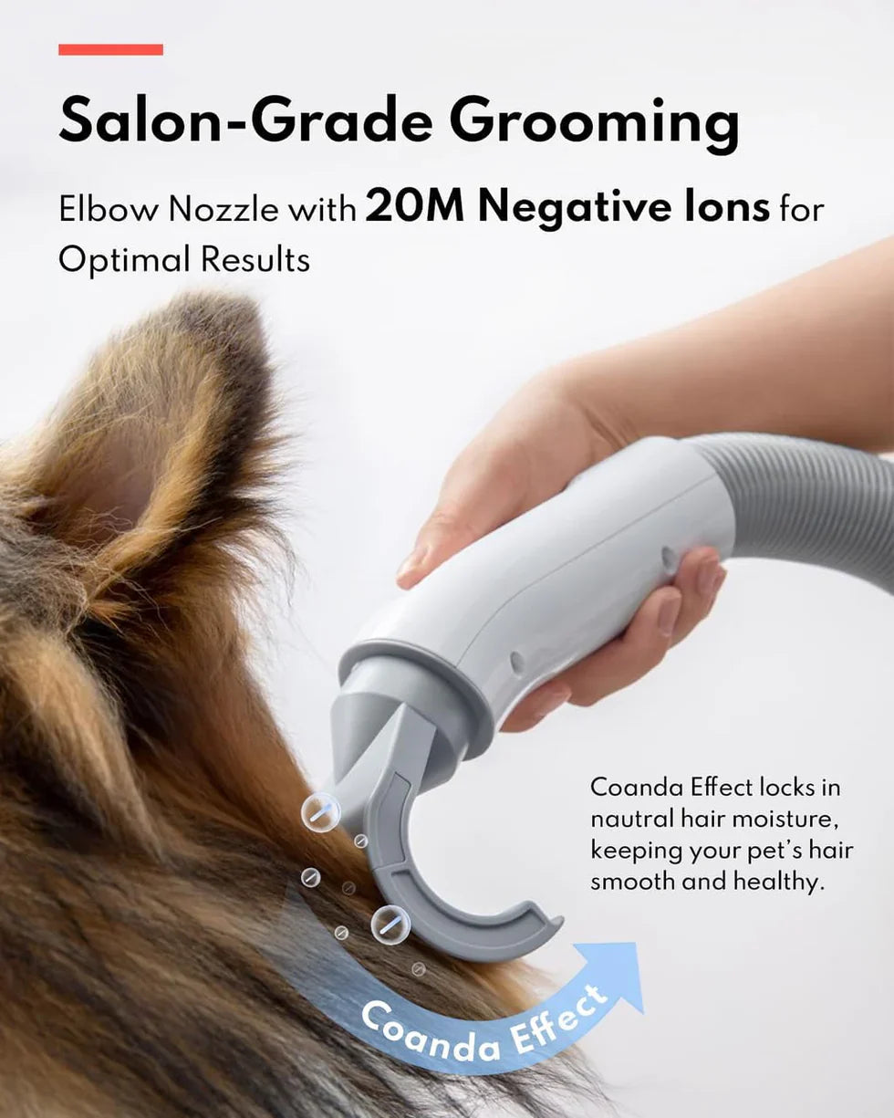 Livara Quiet Negative-Ion Pet Dryer - Pet Comfort, 43dB Operation, Flexible Hose