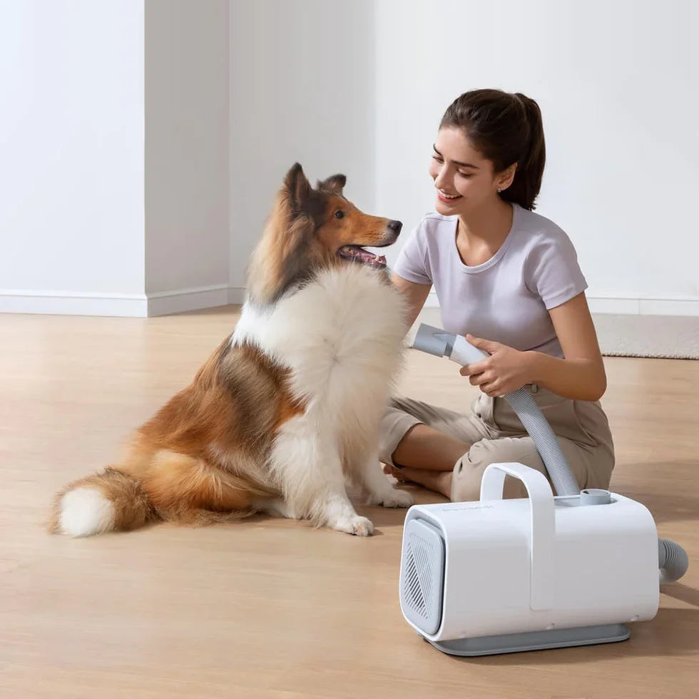 Livara Quiet Negative-Ion Pet Dryer - Pet Comfort, 43dB Operation, Flexible Hose
