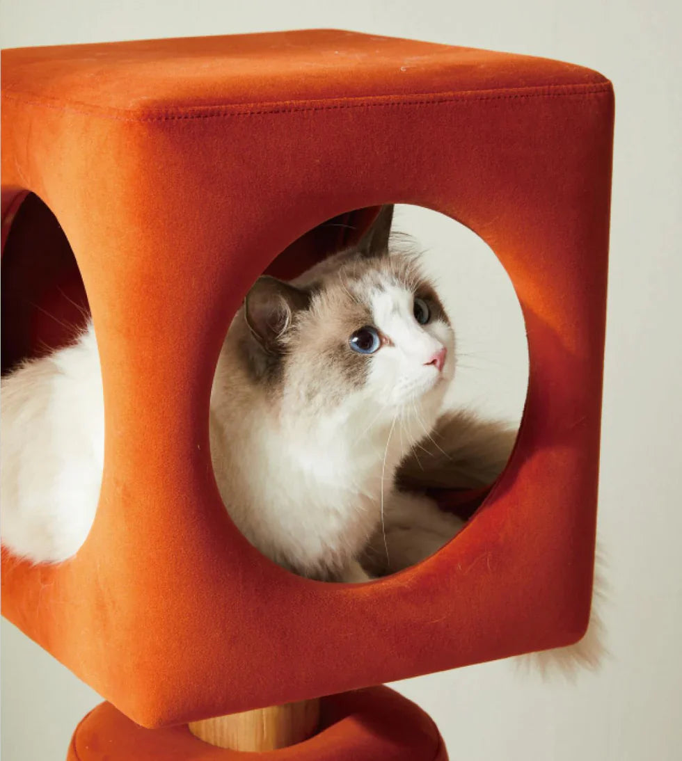Livara Sculptural Cat Tree Tower - Pet Comfort, Cabin Hideaway
