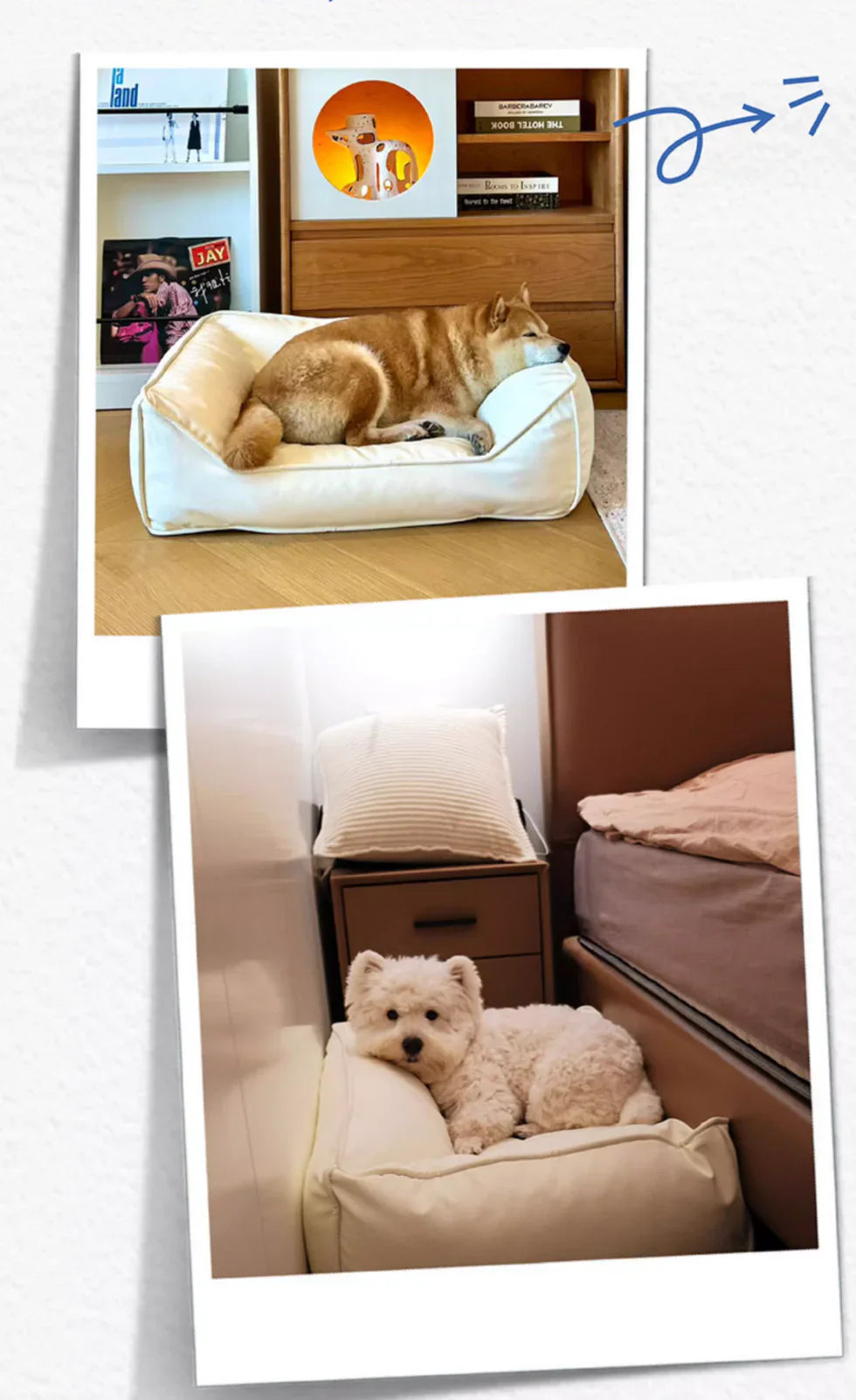 Livara Scratch-Resistant Faux Leather Pet Sofa Bed - Pet Comfort, PP Cotton Cushion