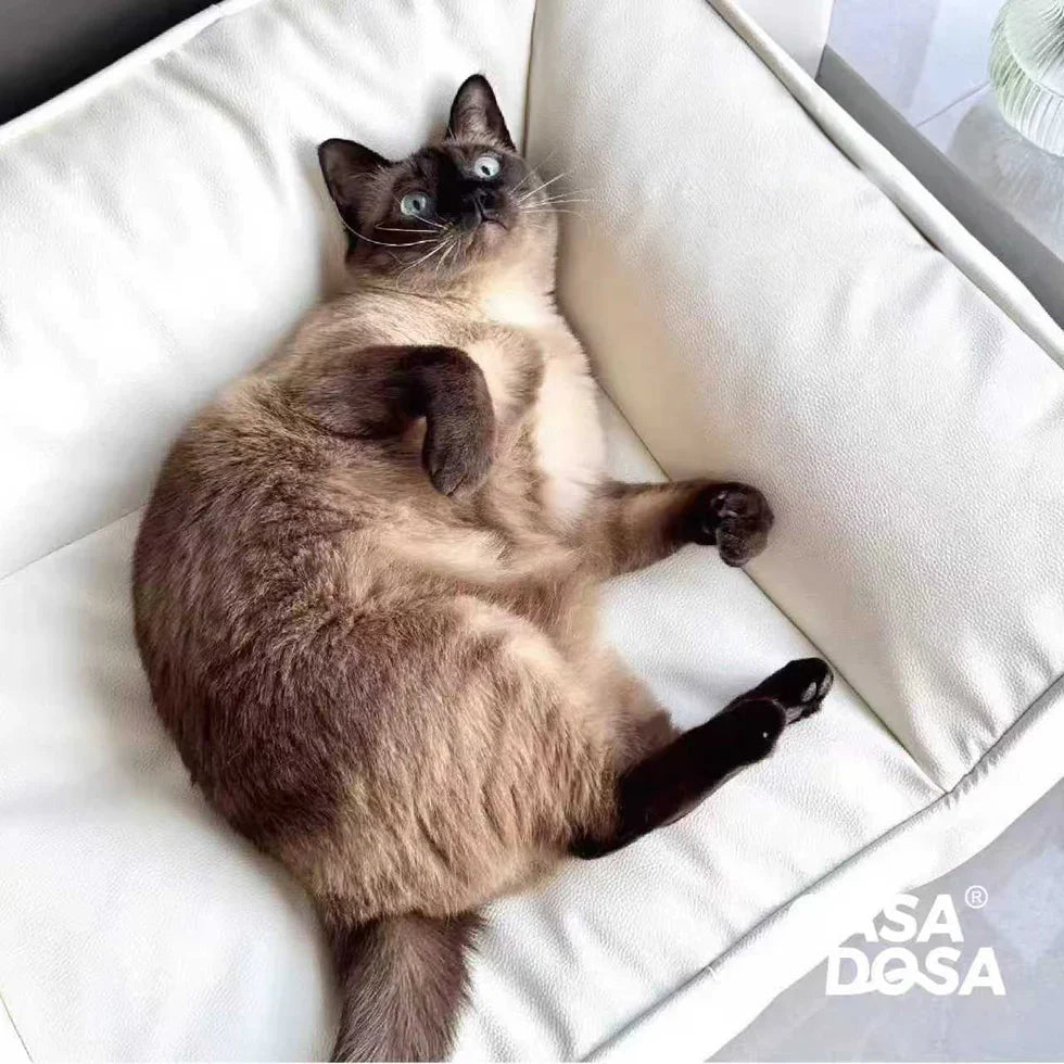 Livara Scratch-Resistant Faux Leather Pet Sofa Bed - Pet Comfort, PP Cotton Cushion