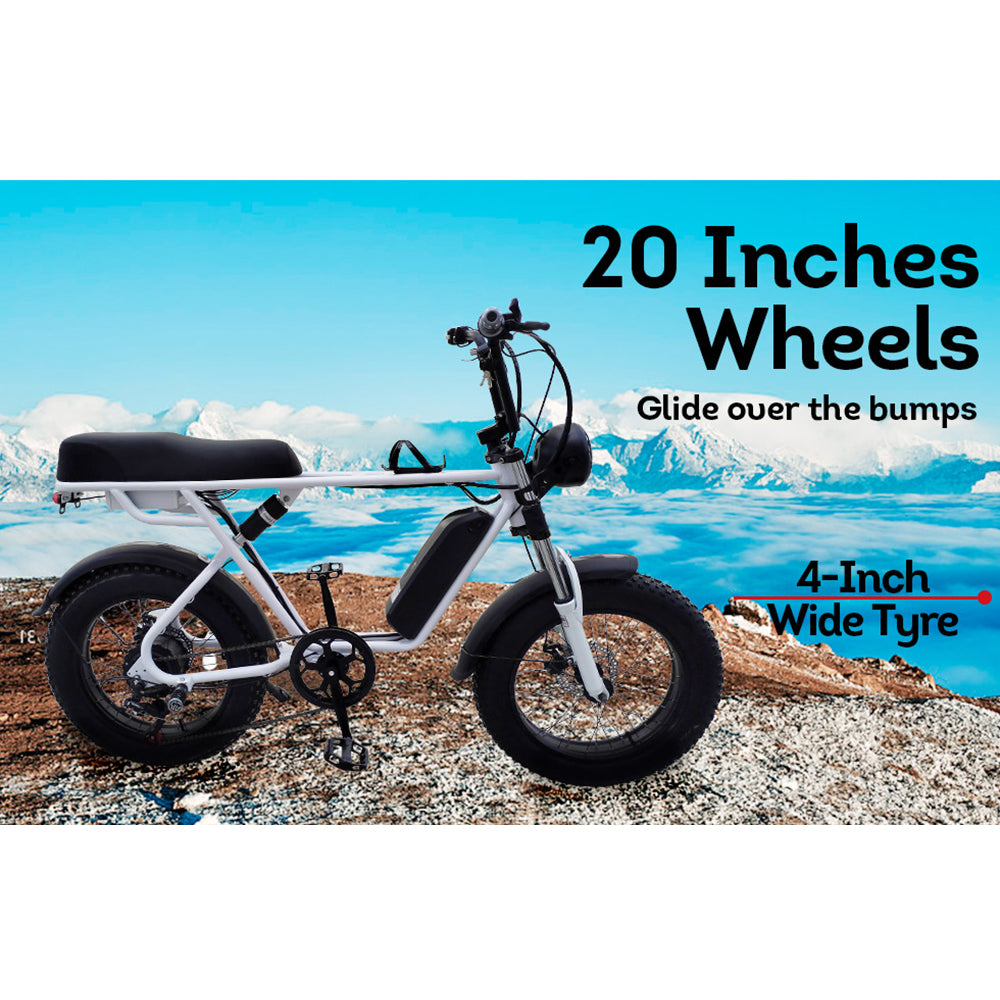 Livara 750W Electric Bike - Daily Travel, 48V Battery, Compact Frame