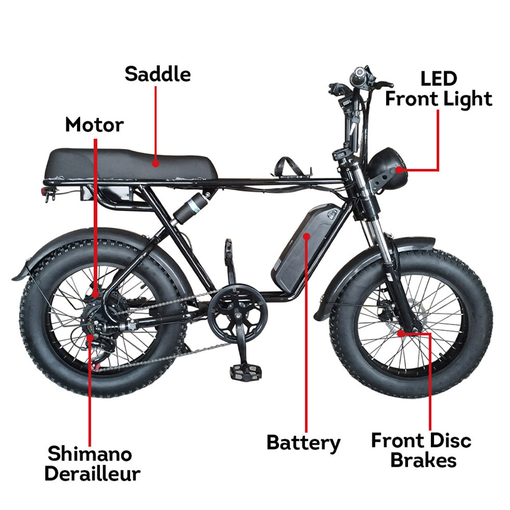 Livara 750W Electric Bike - Daily Travel, 48V Battery, Compact Frame