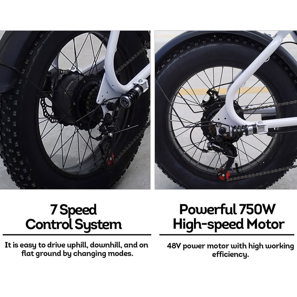 Livara 750W Electric Bike - Daily Travel, 48V Battery, Compact Frame