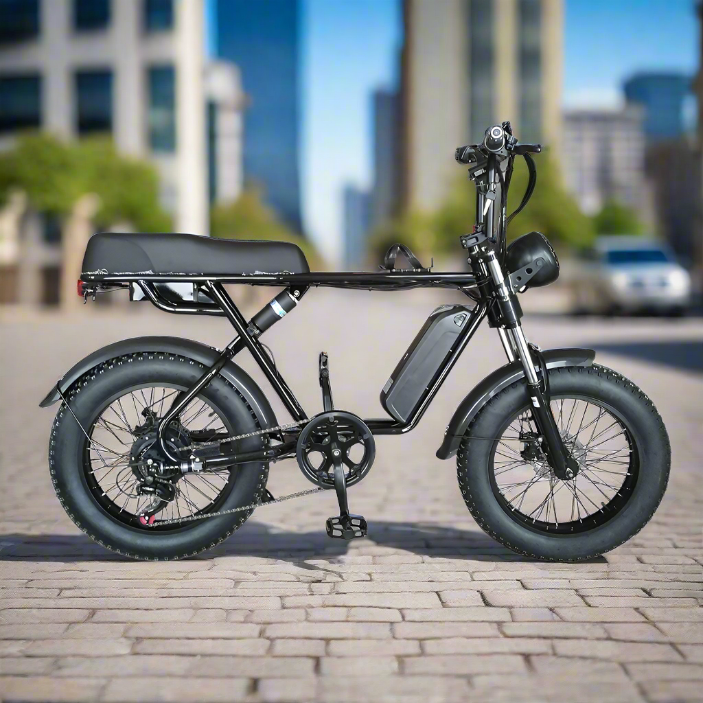 Livara 750W Electric Bike - Daily Travel, 48V Battery, Compact Frame