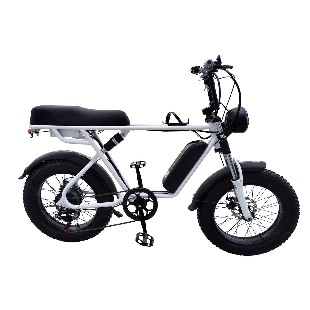 Livara 750W Electric Bike - Daily Travel, 48V Battery, Compact Frame