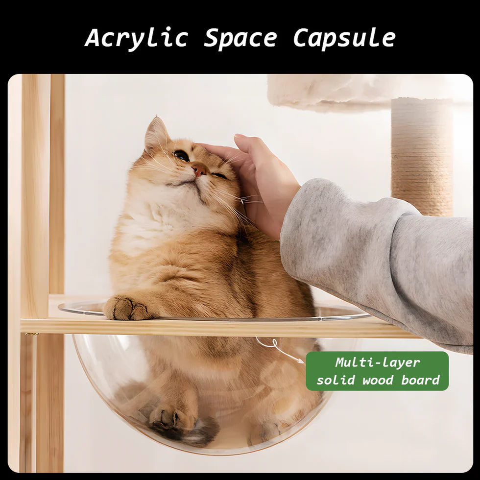 Livara Solid Pine Cat Enclosure - Pet Comfort, Acrylic Panels, Lockable Door