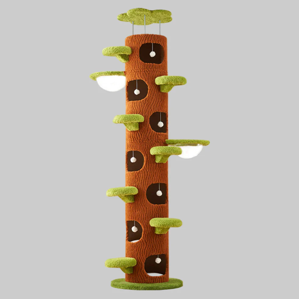 Livara Plywood Tree Hollow Cat Tree Tower - Pet Comfort, Transparent Capsule, Sisal Board