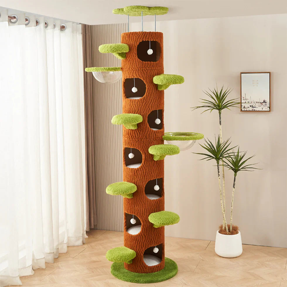 Livara Plywood Tree Hollow Cat Tree Tower - Pet Comfort, Transparent Capsule, Sisal Board