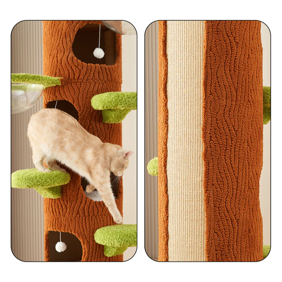 Livara Plywood Tree Hollow Cat Tree Tower - Pet Comfort, Transparent Capsule, Sisal Board
