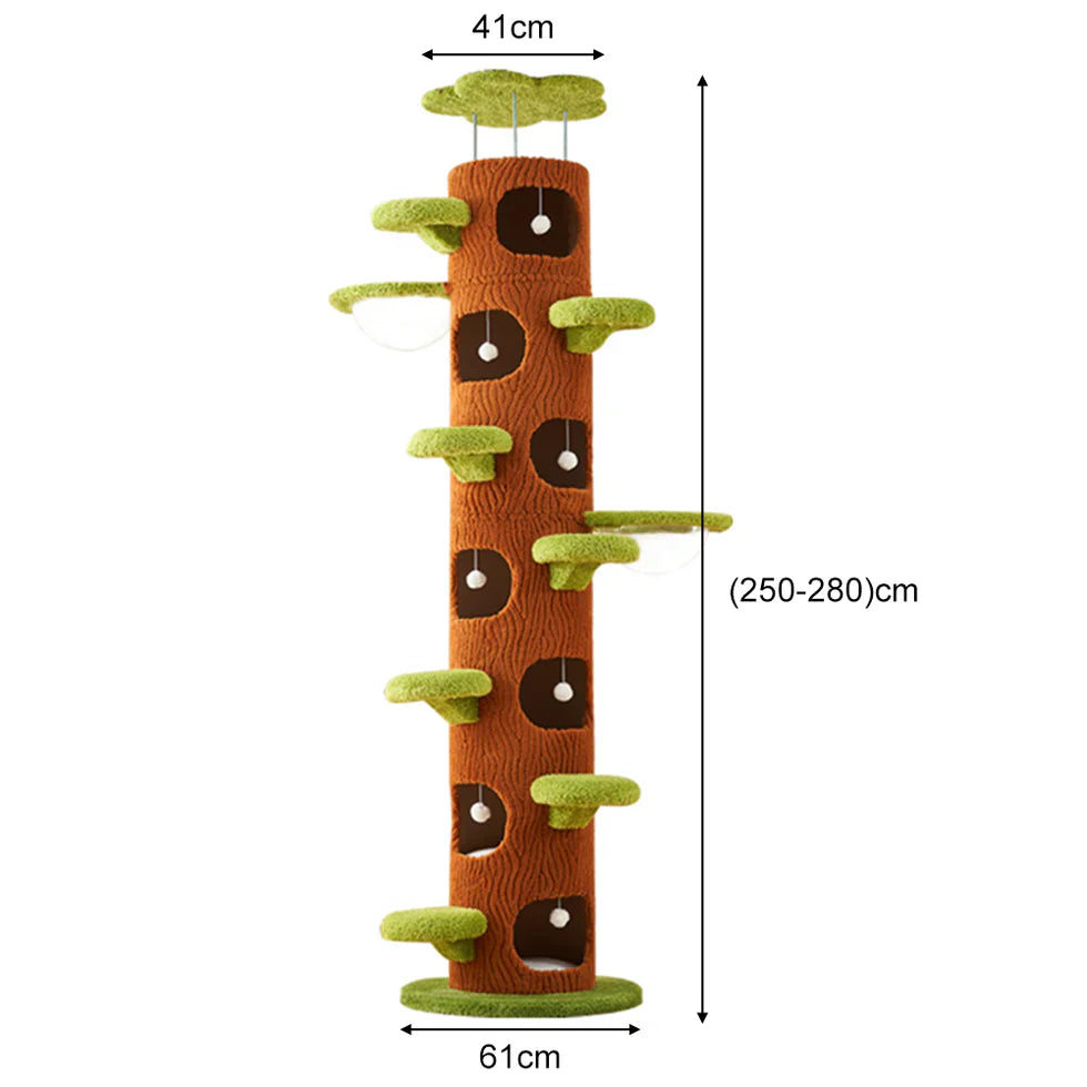 Livara Plywood Tree Hollow Cat Tree Tower - Pet Comfort, Transparent Capsule, Sisal Board