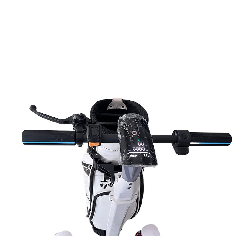 ESWING ES-M12-3 handlebar and display