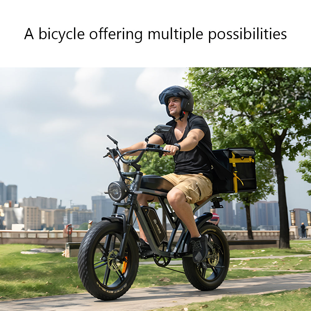 Livara High-Carbon Steel Electric Bike - Daily Travel, 750W Motor, 5 Speed Levels