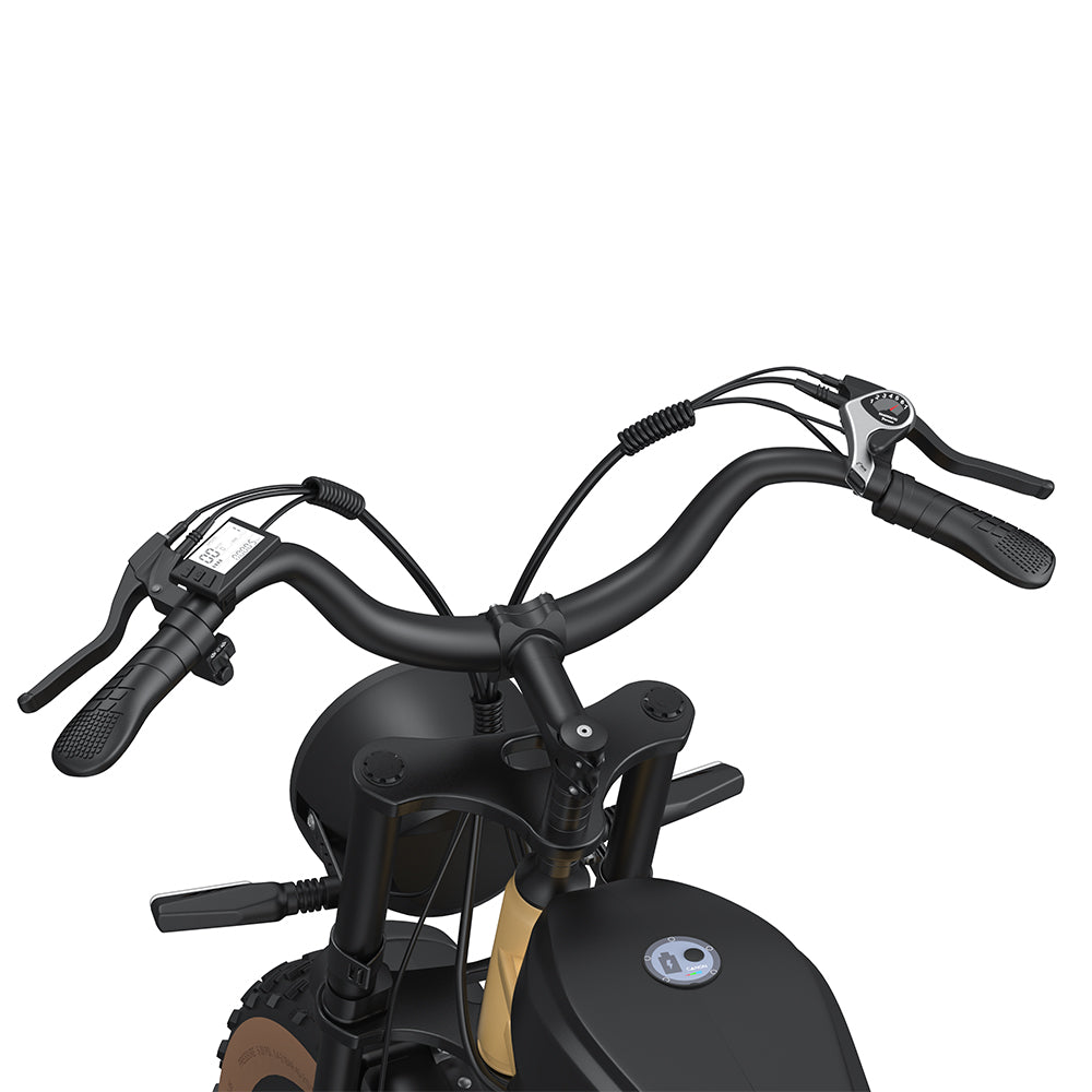 Livara High-Carbon Steel Electric Bike - Daily Travel, 750W Motor, 5 Speed Levels