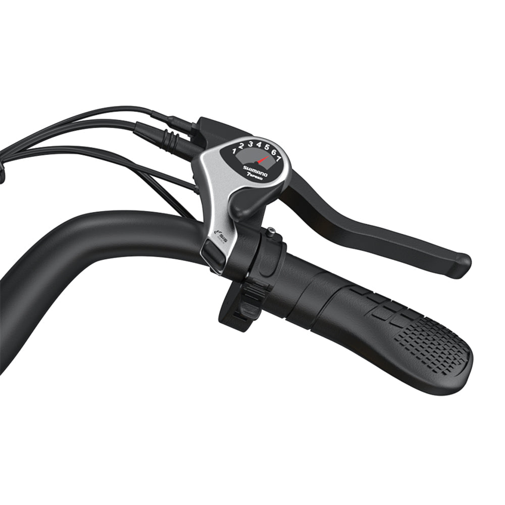 Livara High-Carbon Steel Electric Bike - Daily Travel, 750W Motor, 5 Speed Levels