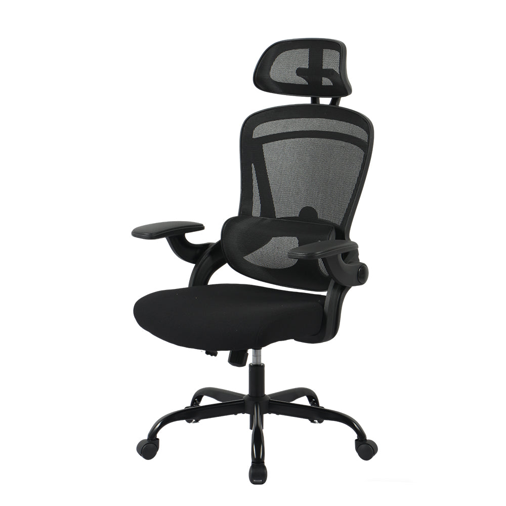 Livara Mesh Fabric Office Chair - Home Office, 2D Headrest, Flip-Up Armrests