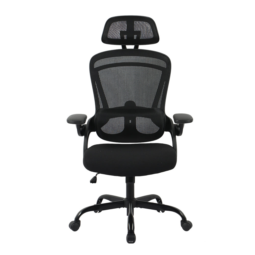 Livara Mesh Fabric Office Chair - Home Office, 2D Headrest, Flip-Up Armrests