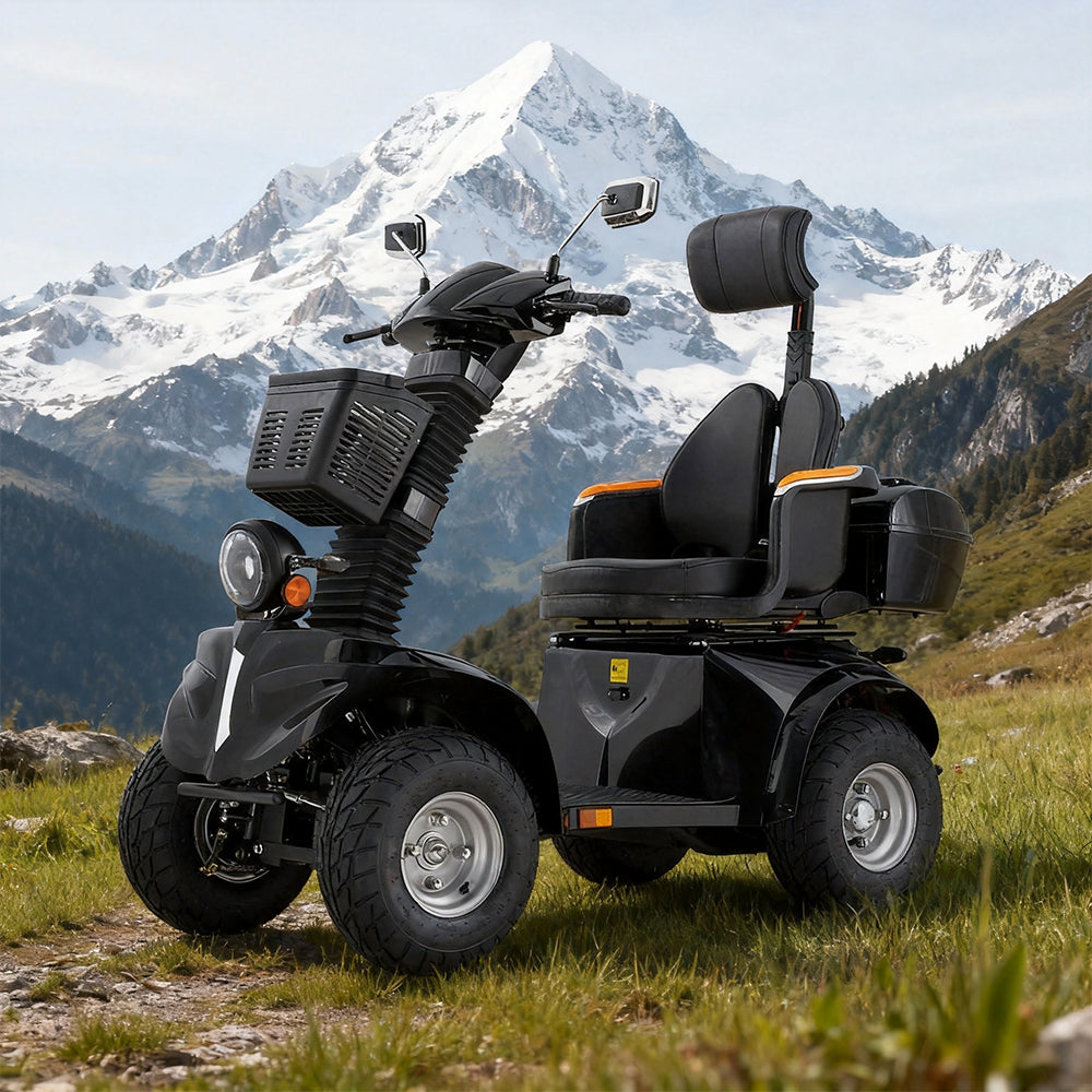 Livara DJD Adjustable Electric Mobility Scooter - 1000W, 60V 20Ah image 3