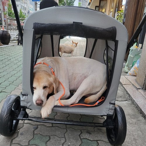Livara Foldable Large Dog Stroller - Travel-Ready, Rain Cover, Brake Wheels
