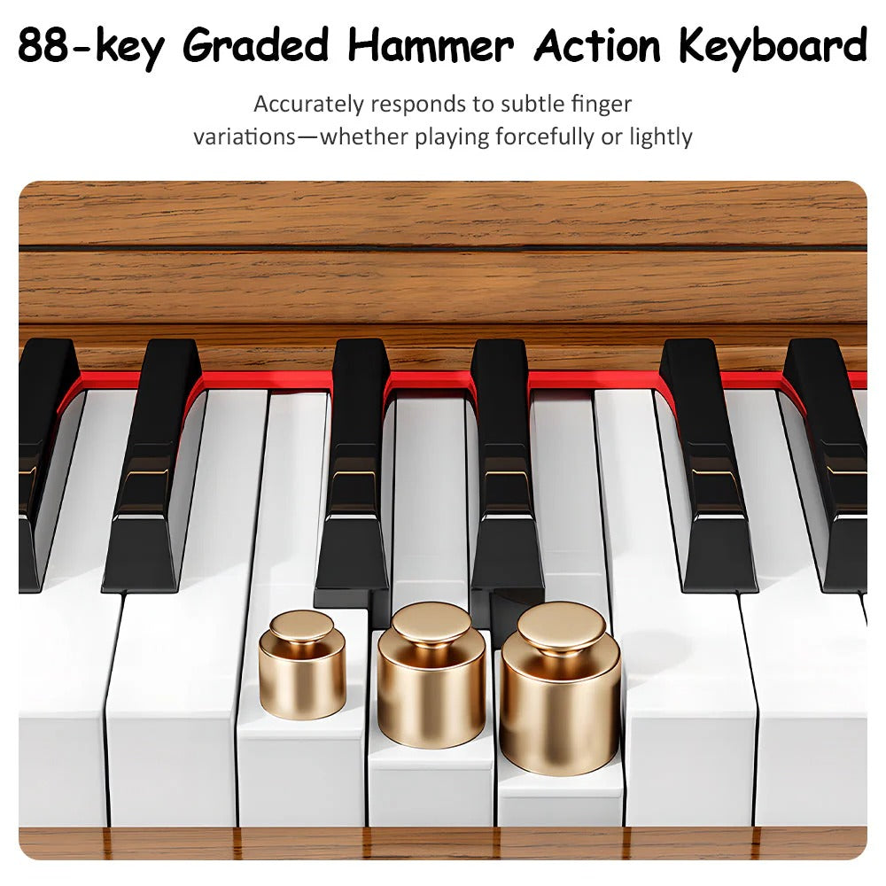 Livara Solid Wood Weighted Digital Piano - Modern Living Room, 88 Keys, Bench Included