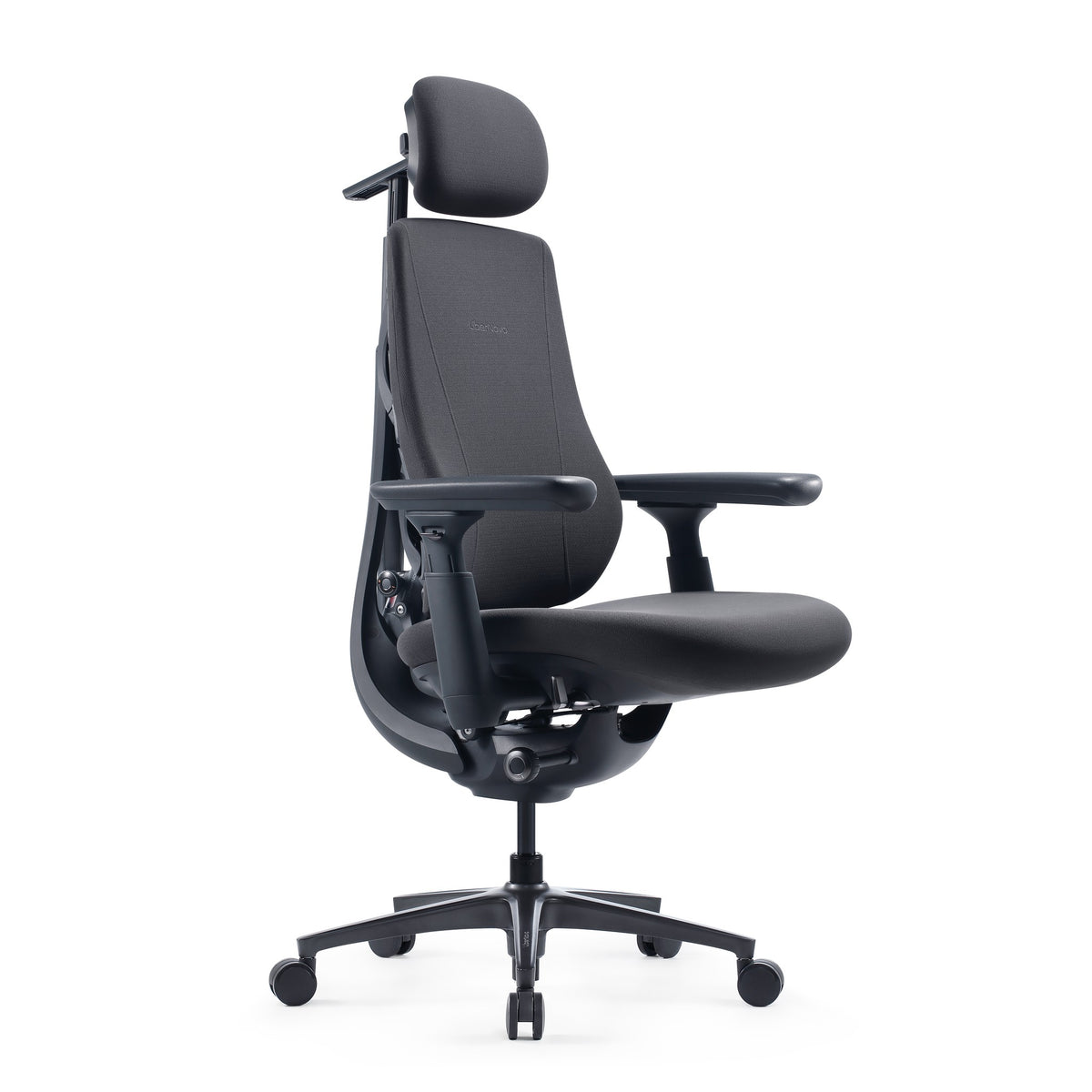 LiberNovo Maxis Manual big and tall ergonomic chair in Graphite