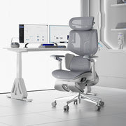 Hbada X7 smart ergonomic office chair, grey